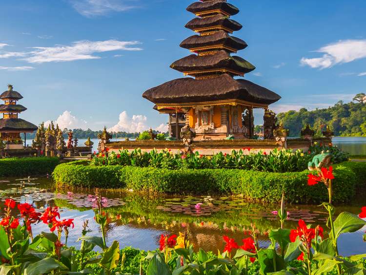 IDN.jpg.image.750.563.low.jpg?profile=RESIZE_710x